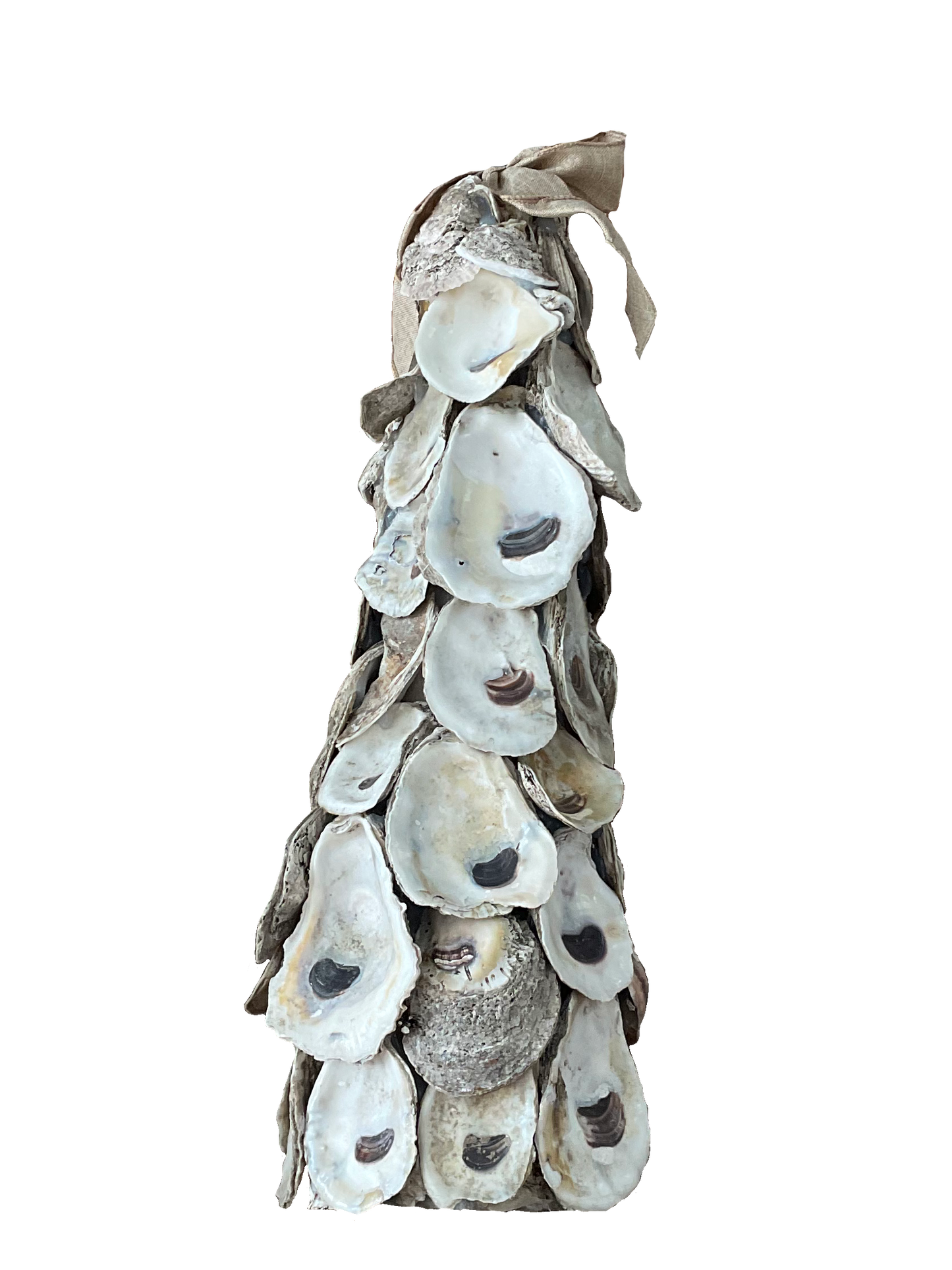 Pass Roots Oyster Tree