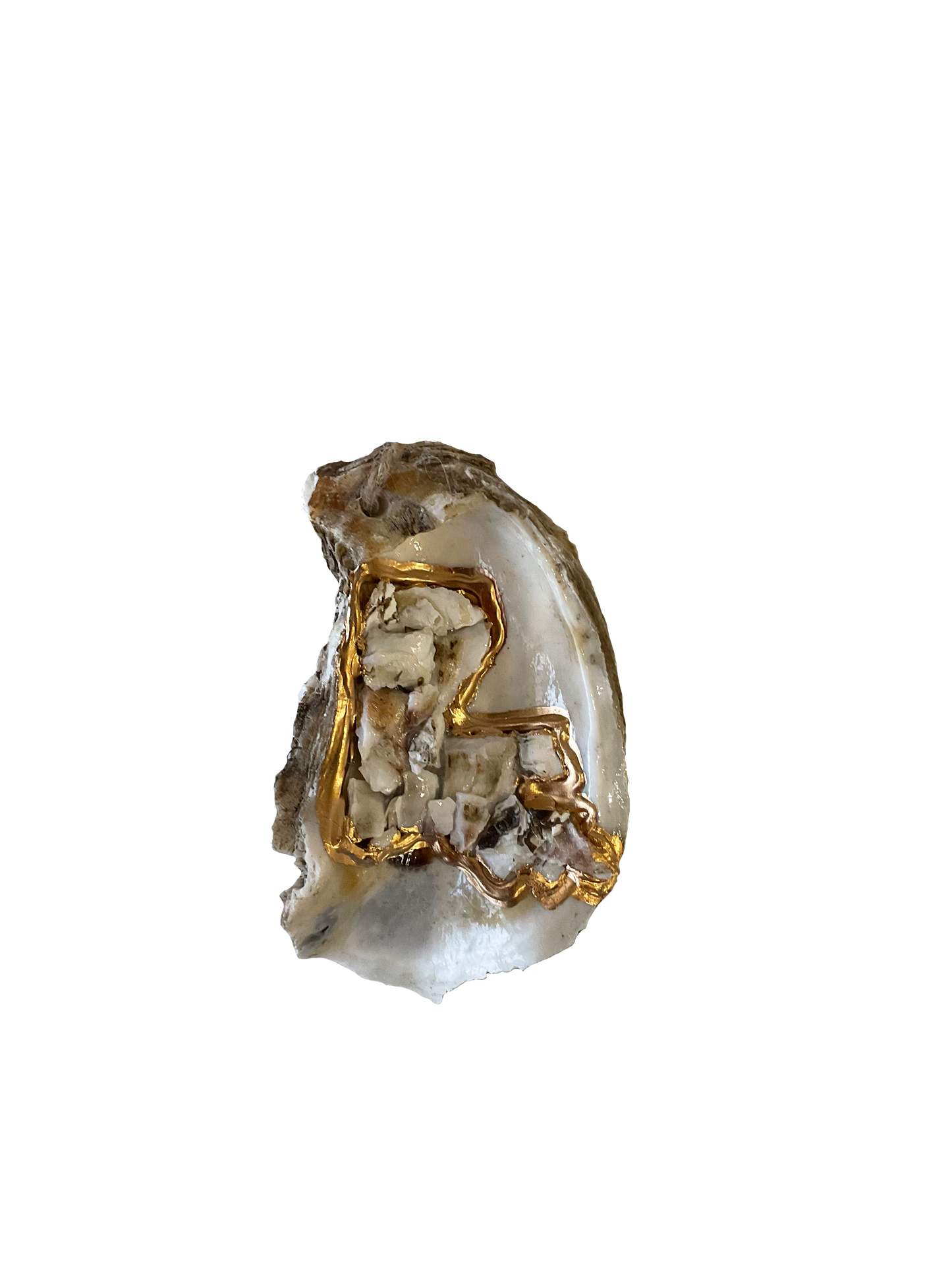 Pass Roots Oyster Shell Ornaments
